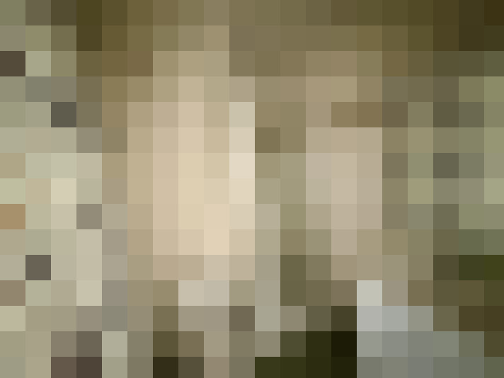  / #14