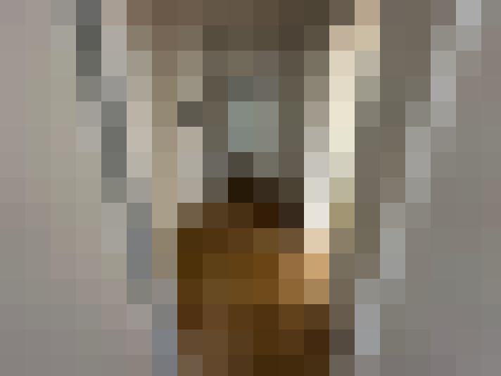  / #15