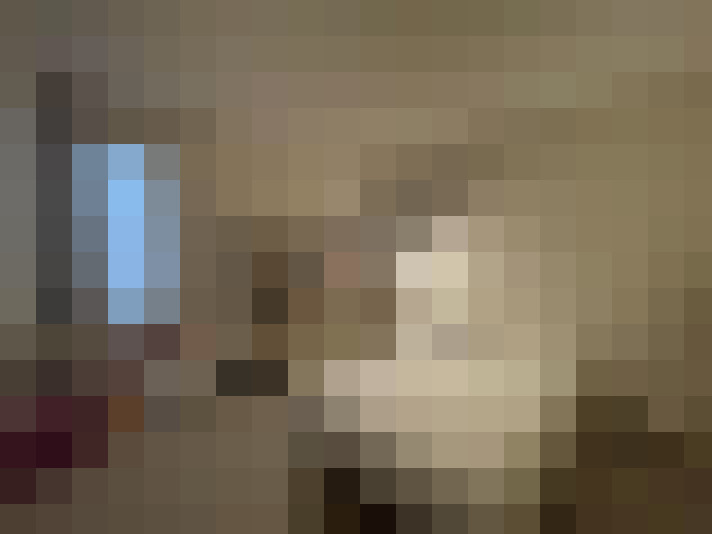  / #11