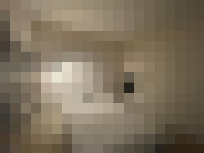  / #12