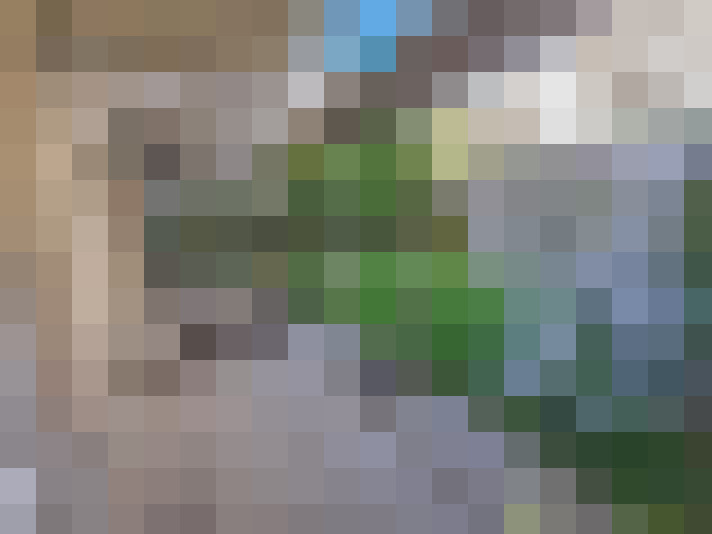  / #7