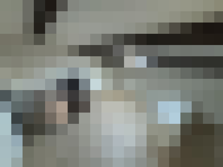 / #15