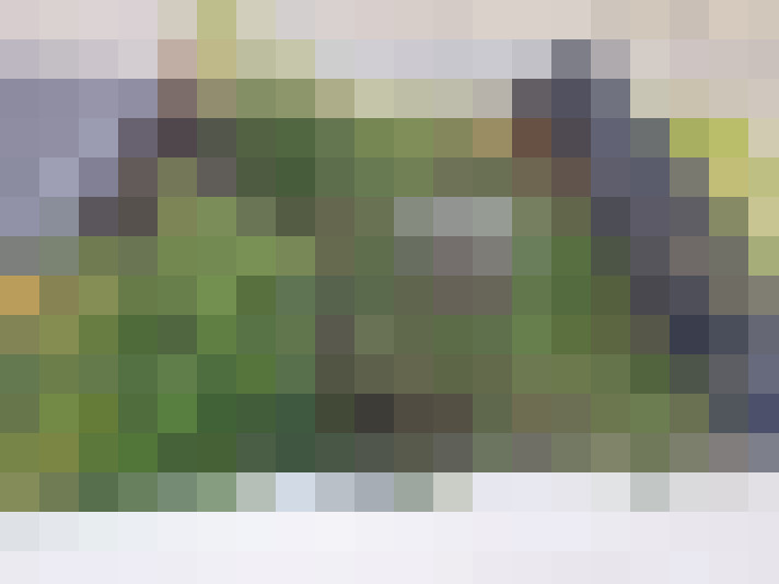  / #14
