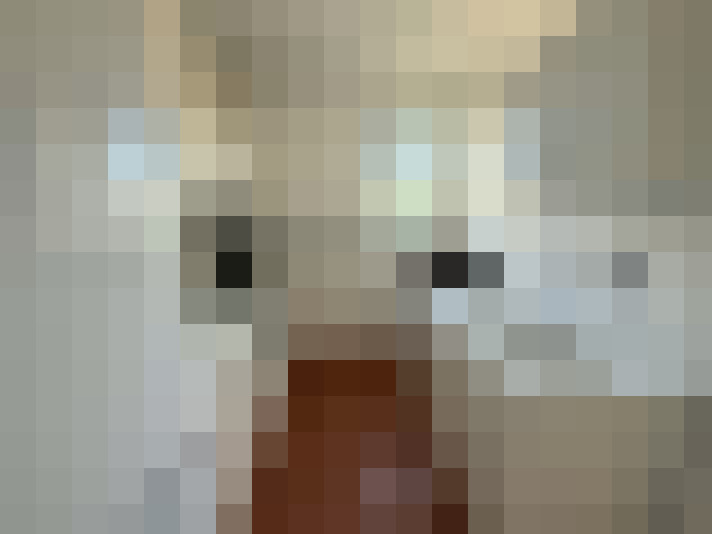  / #8
