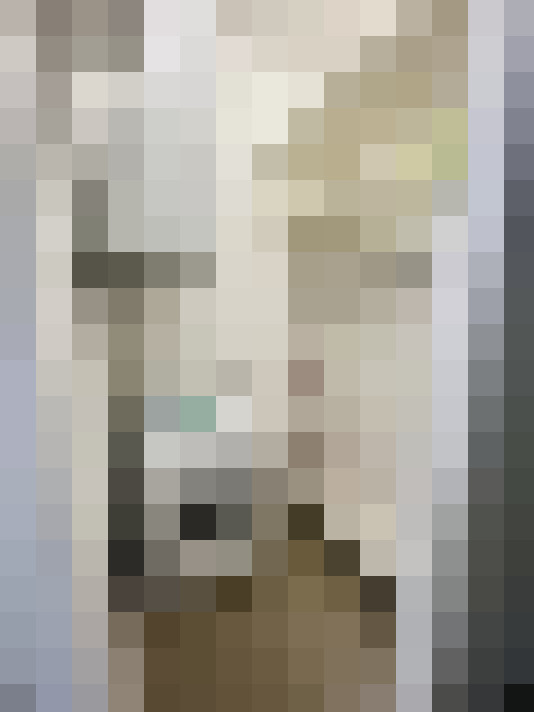  / #13