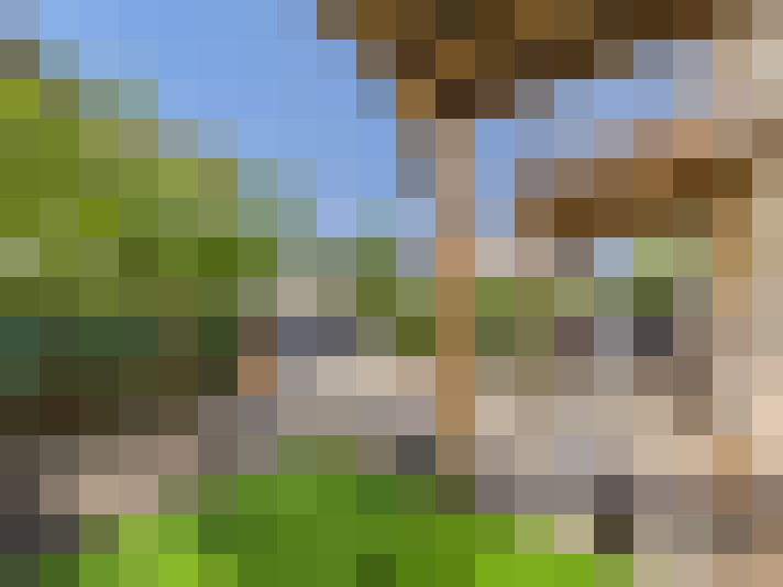  / #15