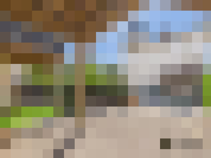  / #10