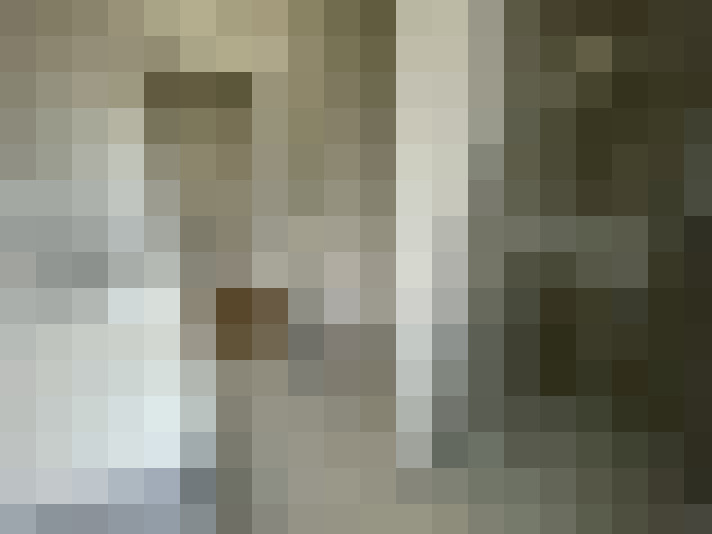  / #7