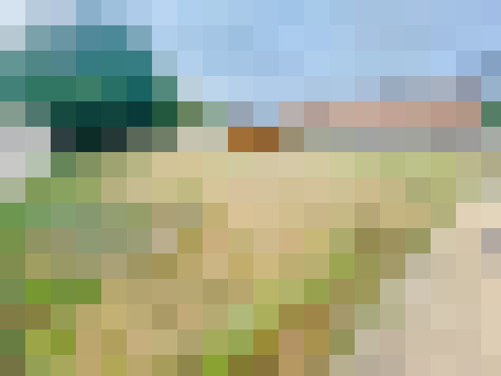  / #11