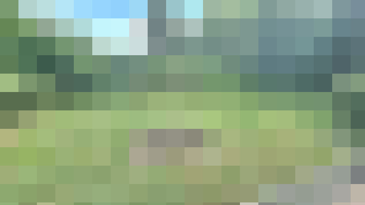  / #16
