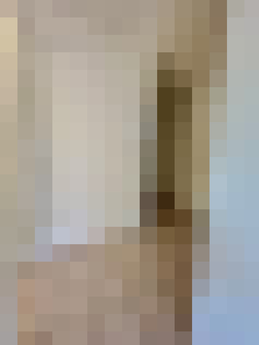  / #19