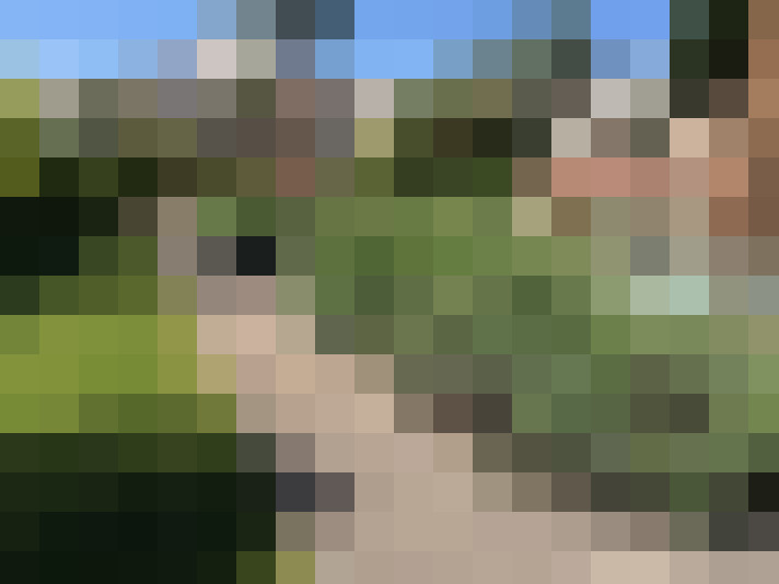  / #11