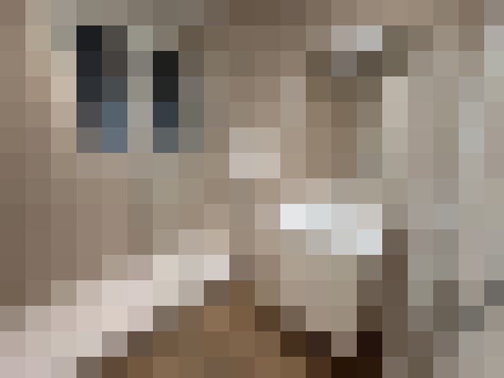  / #17