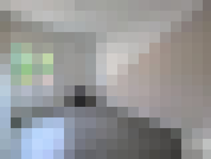  / #7