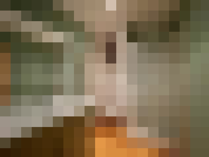  / #17