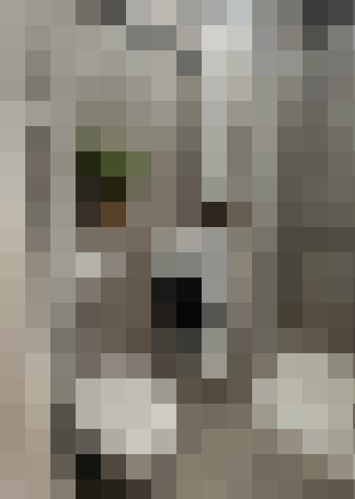  / #18