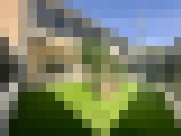  / #8