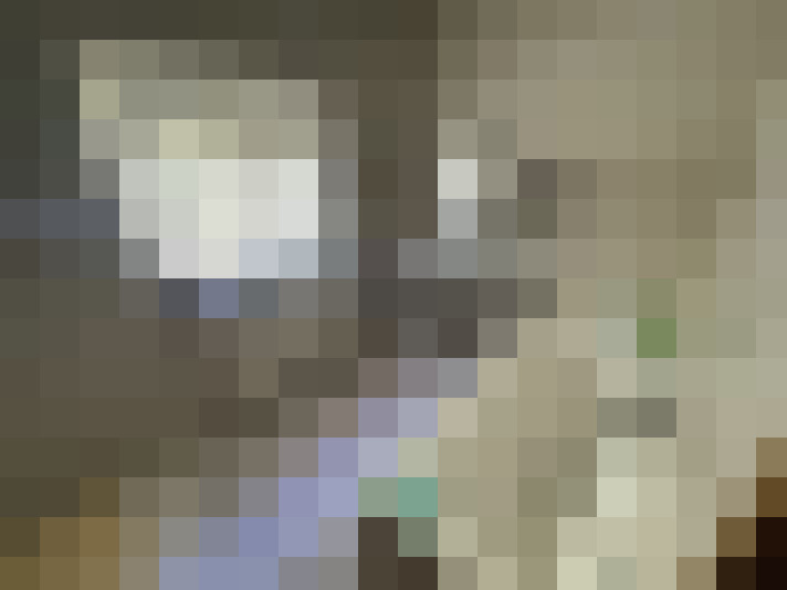  / #14