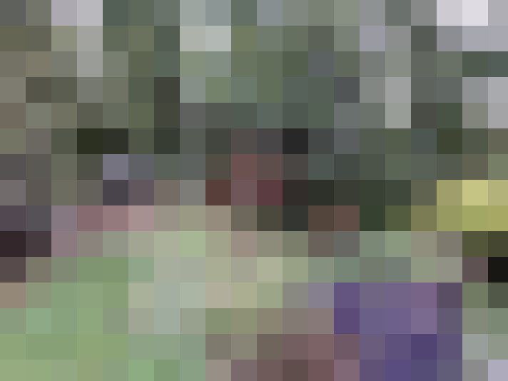  / #16