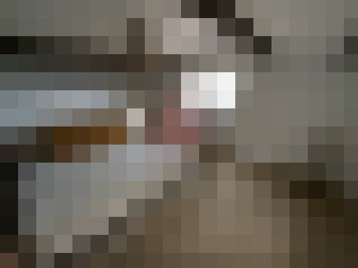  / #15