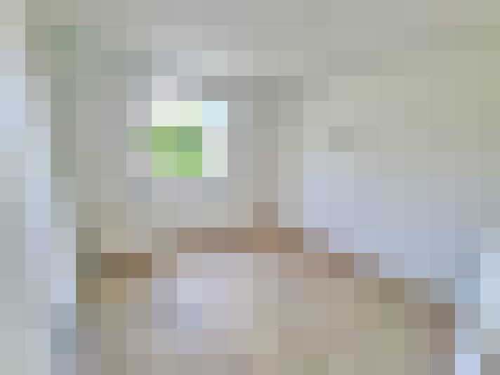  / #6