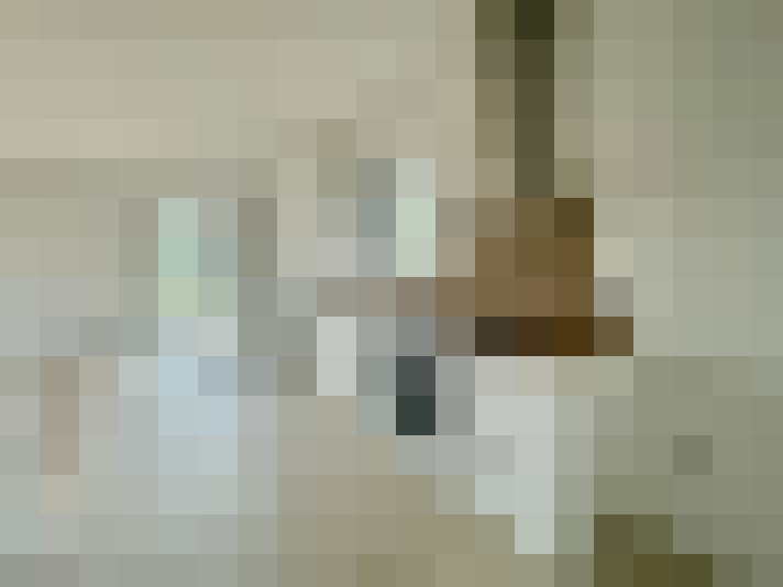  / #8
