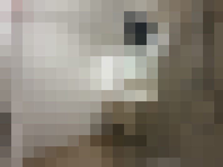  / #20