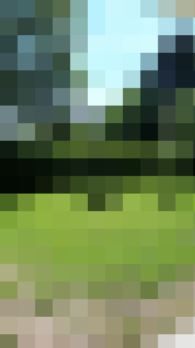  / #16
