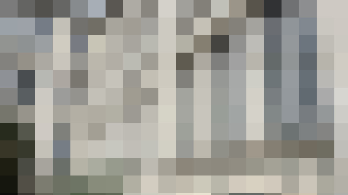  / #19