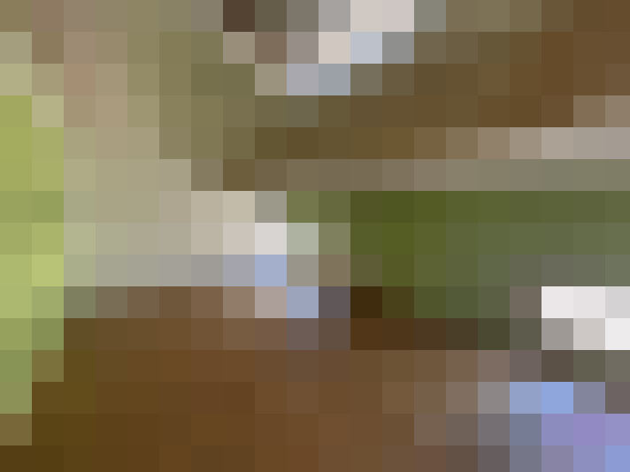  / #7