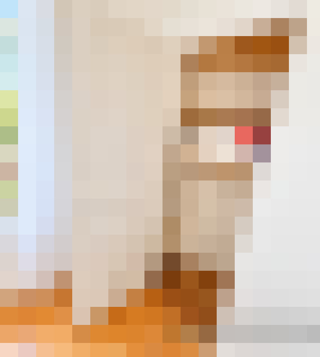  / #12