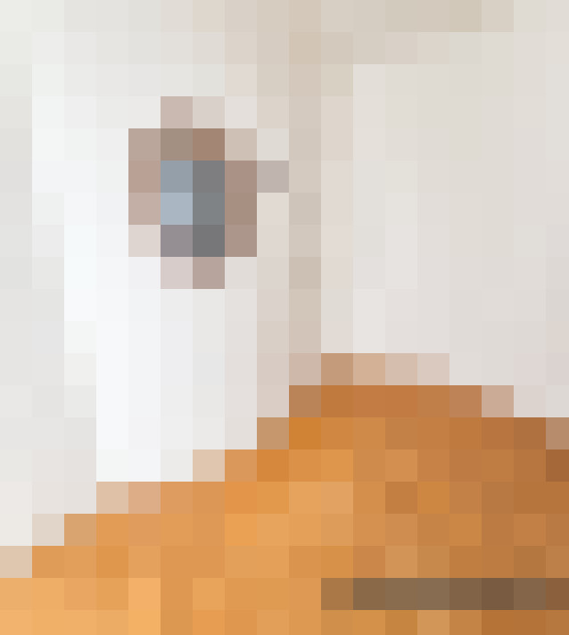  / #16