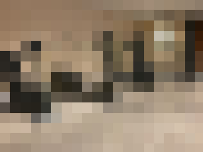  / #7