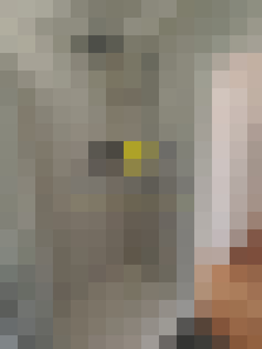 / #8