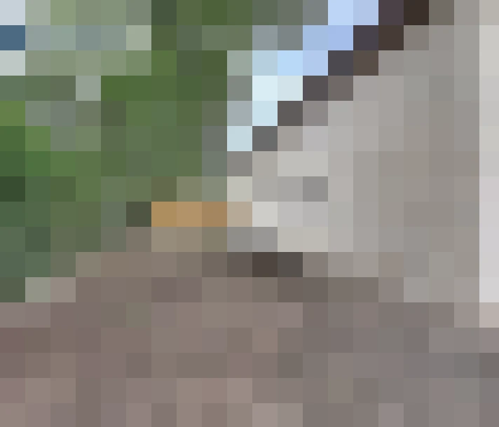  / #15