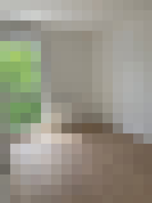  / #5