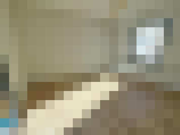  / #7