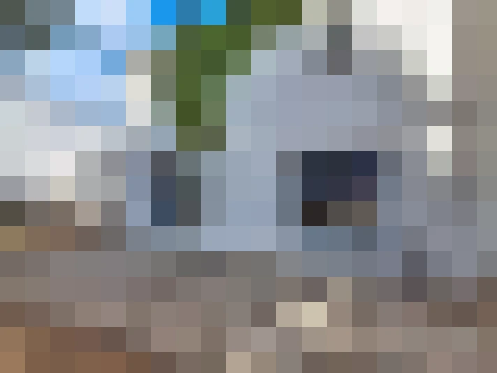  / #15