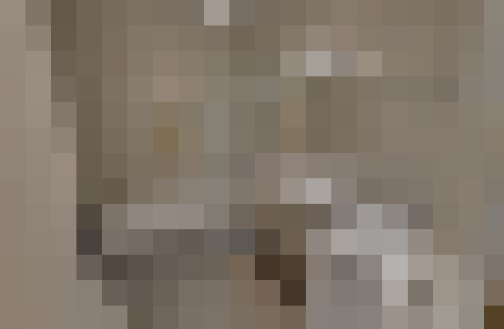  / #8