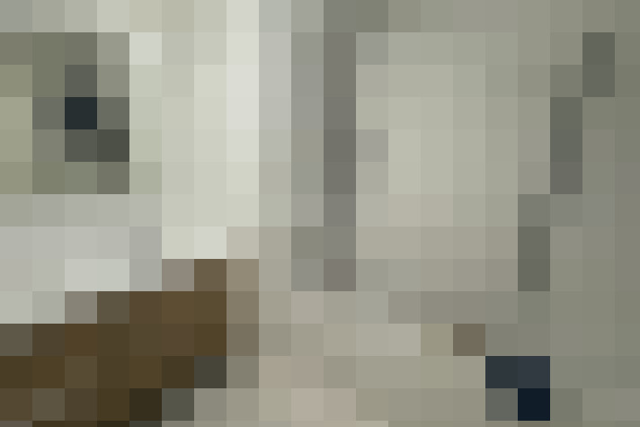  / #8