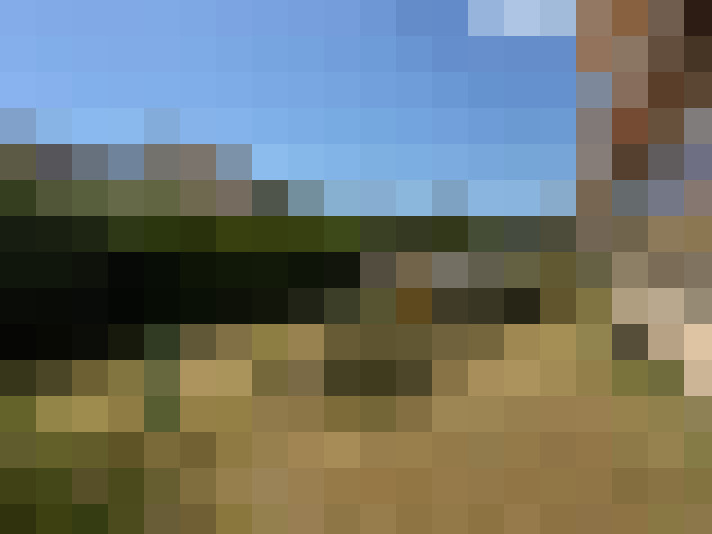  / #17