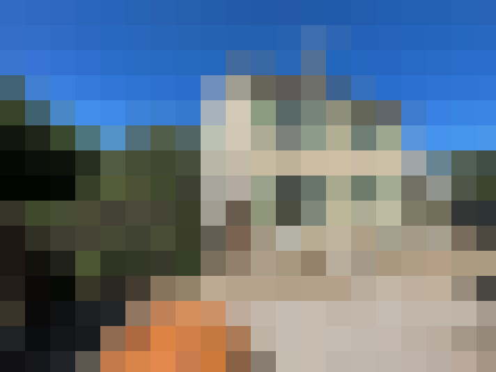  / #11