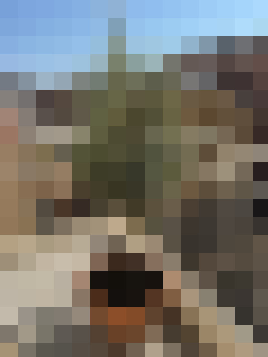  / #18