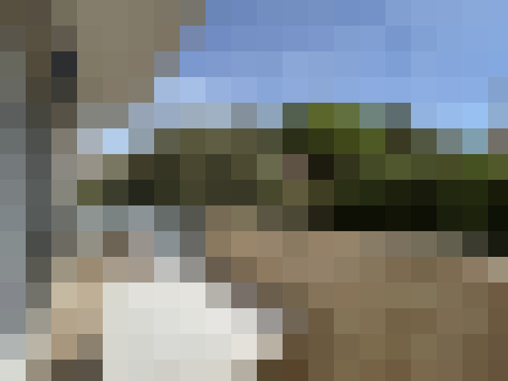  / #7