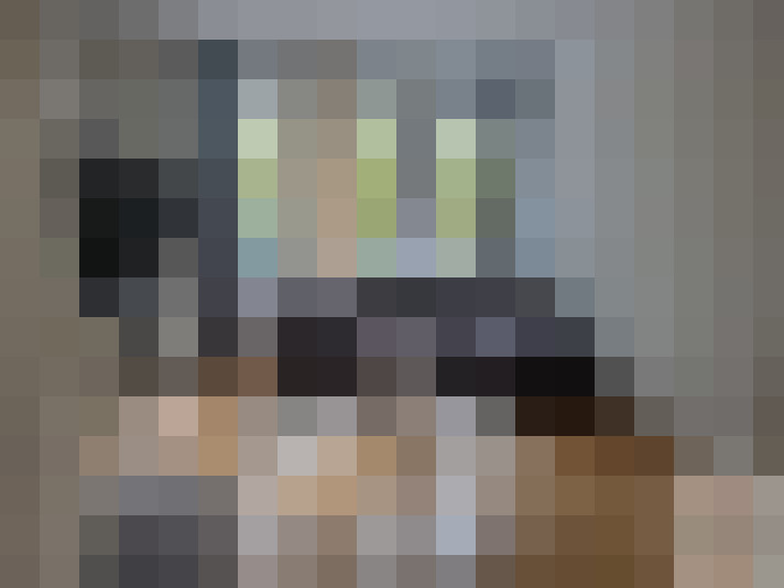  / #8