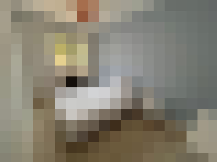  / #8