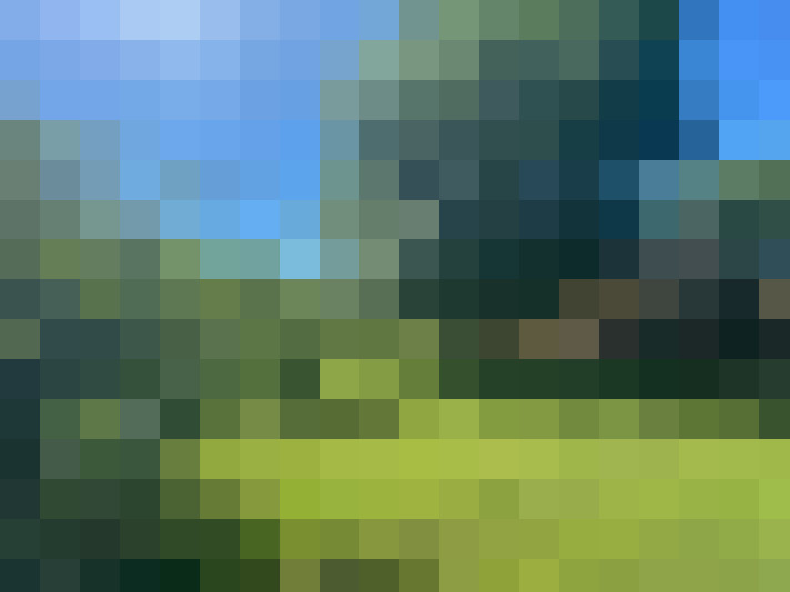  / #15