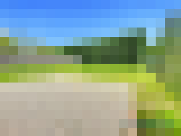  / #8