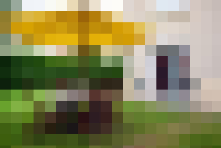  / #14
