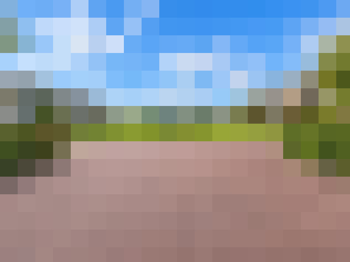  / #16